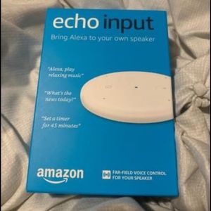 Amazon echo input